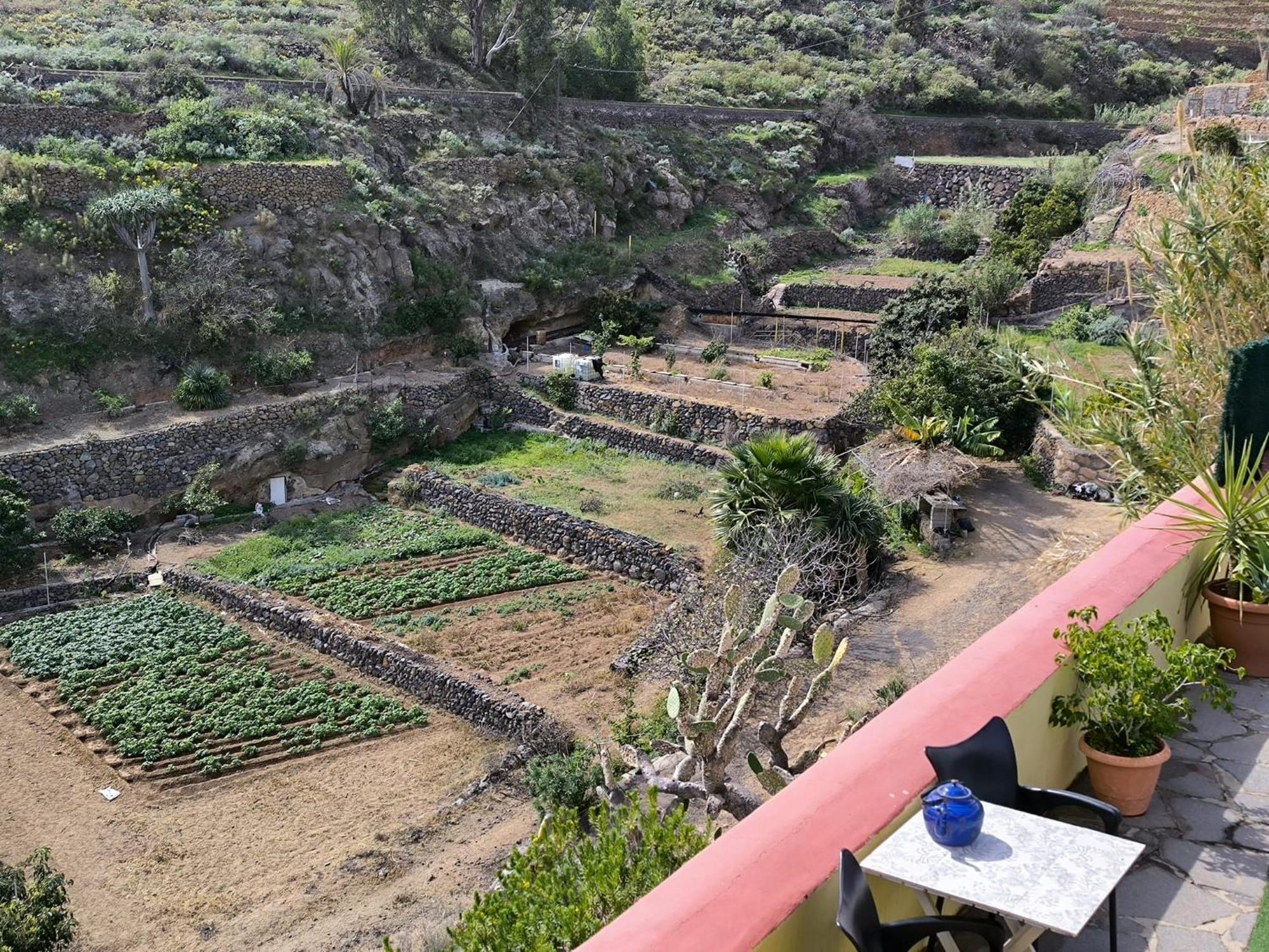 Hotel Rural La Raya 1866 Güimar Exteriör bild
